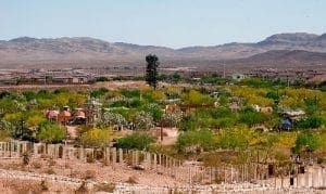 New Homes for Sale in Mountains Edge Las Vegas