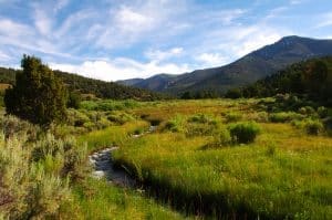 Land for Sale White Pine County Nevada