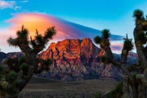 Hiking Trails Around Las Vegas