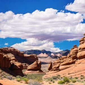 Calico Hills Loop Trail