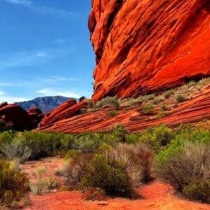 Fire Ecology Hiking Trail