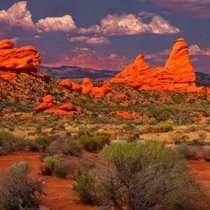 Red Rock Canyon National Conservation Area, Las Vegas, NV