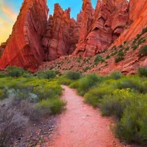 Red Rock Canyon hikers