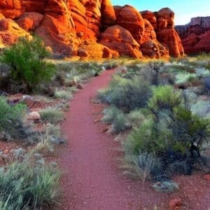 old-man Wilson's homeplace