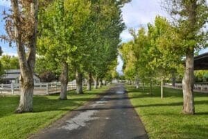 Horse-Friendly Land for Sale
