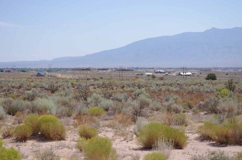 Buy Land In Clark County Nevada / REMAX 1 Listing Agent