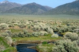 Nevada Land for Sale